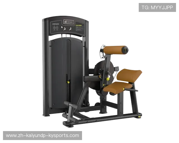 练腹肌最好的健身器材：推荐专门锻炼腹肌的健身器材及其使用技巧